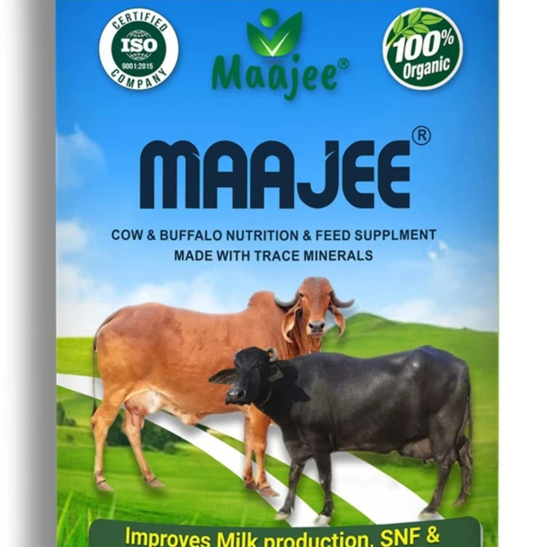 Buffalo Feed Supplements